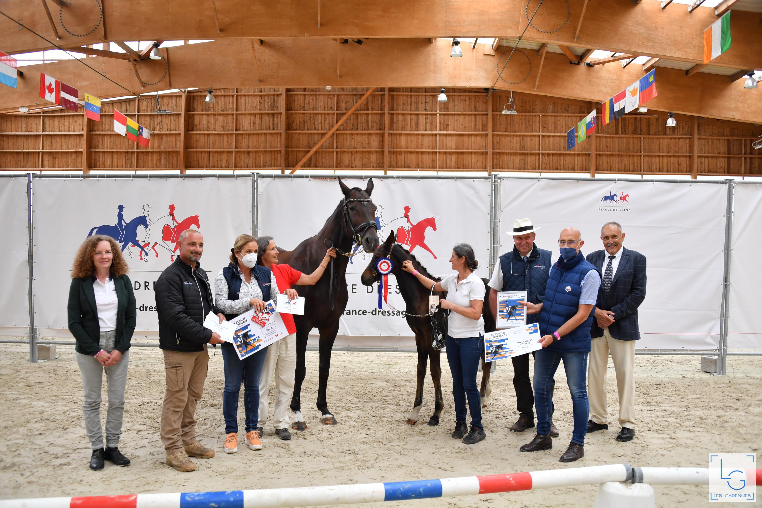 2021-08-29francedressage 6d1 3228