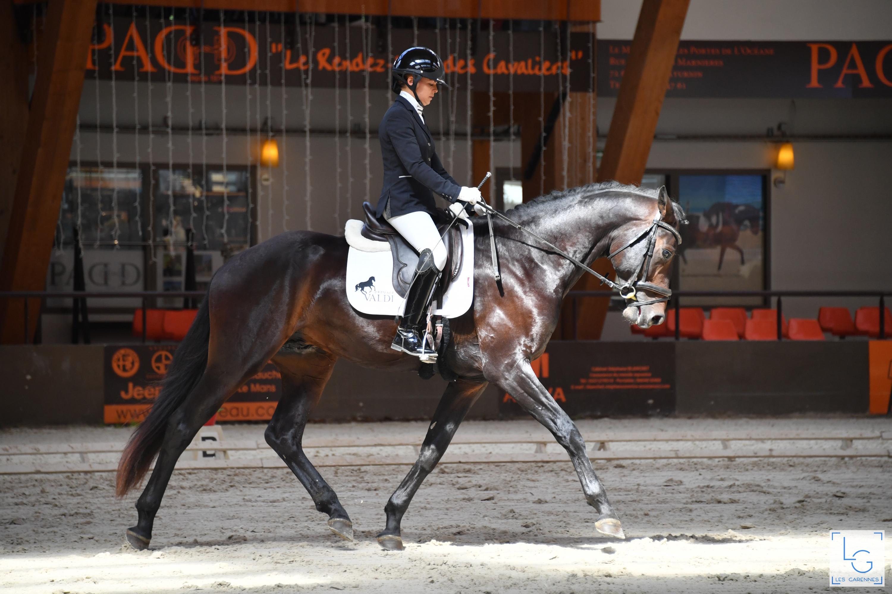 2021-08-29francedressage 3d1 1324