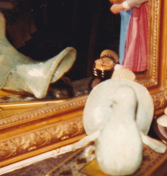 Pigeon