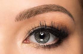 Sourcils-poil-a-poil