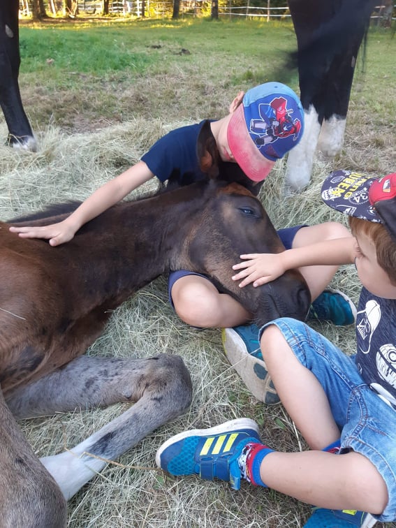 Calin
