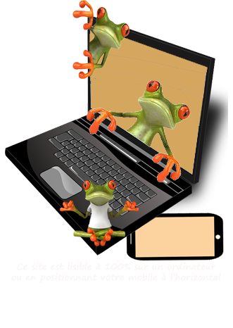 Site-ordinateur