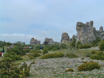 2007-05-d