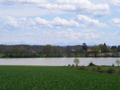 2008-04-a