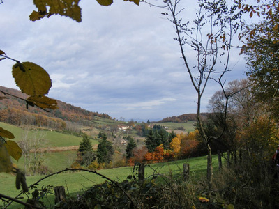 2008-11-c