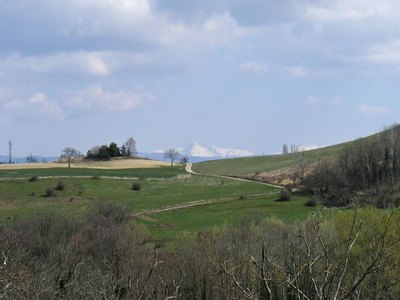 2010-04-b