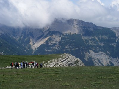 2010-06-b