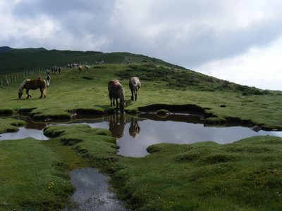 2010-07-b