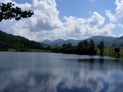 2010-07-c