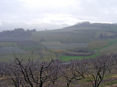 2011-12-b