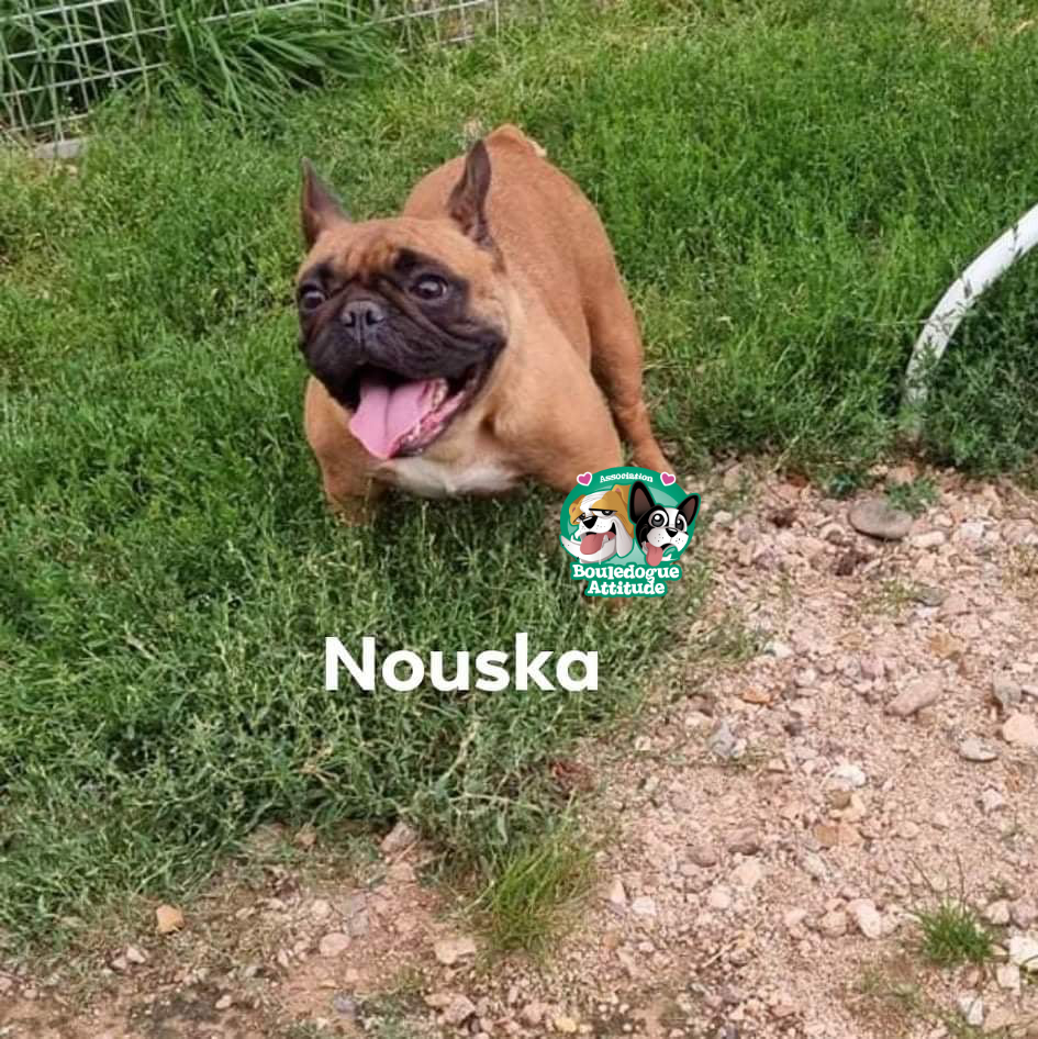Nouska