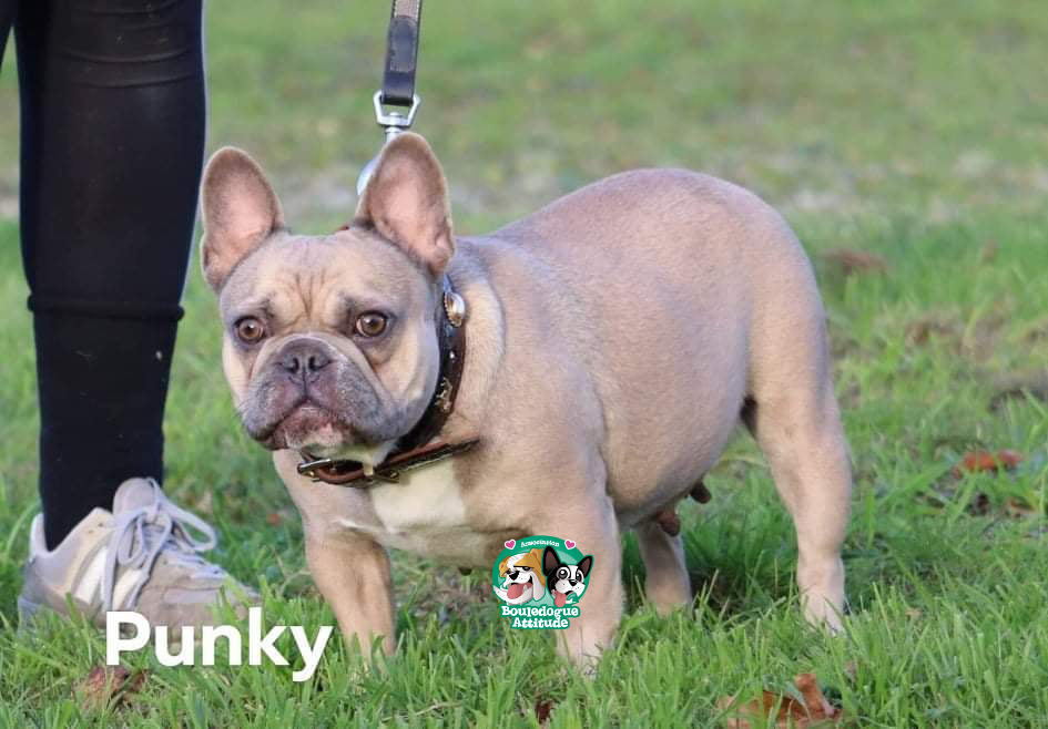 Punky