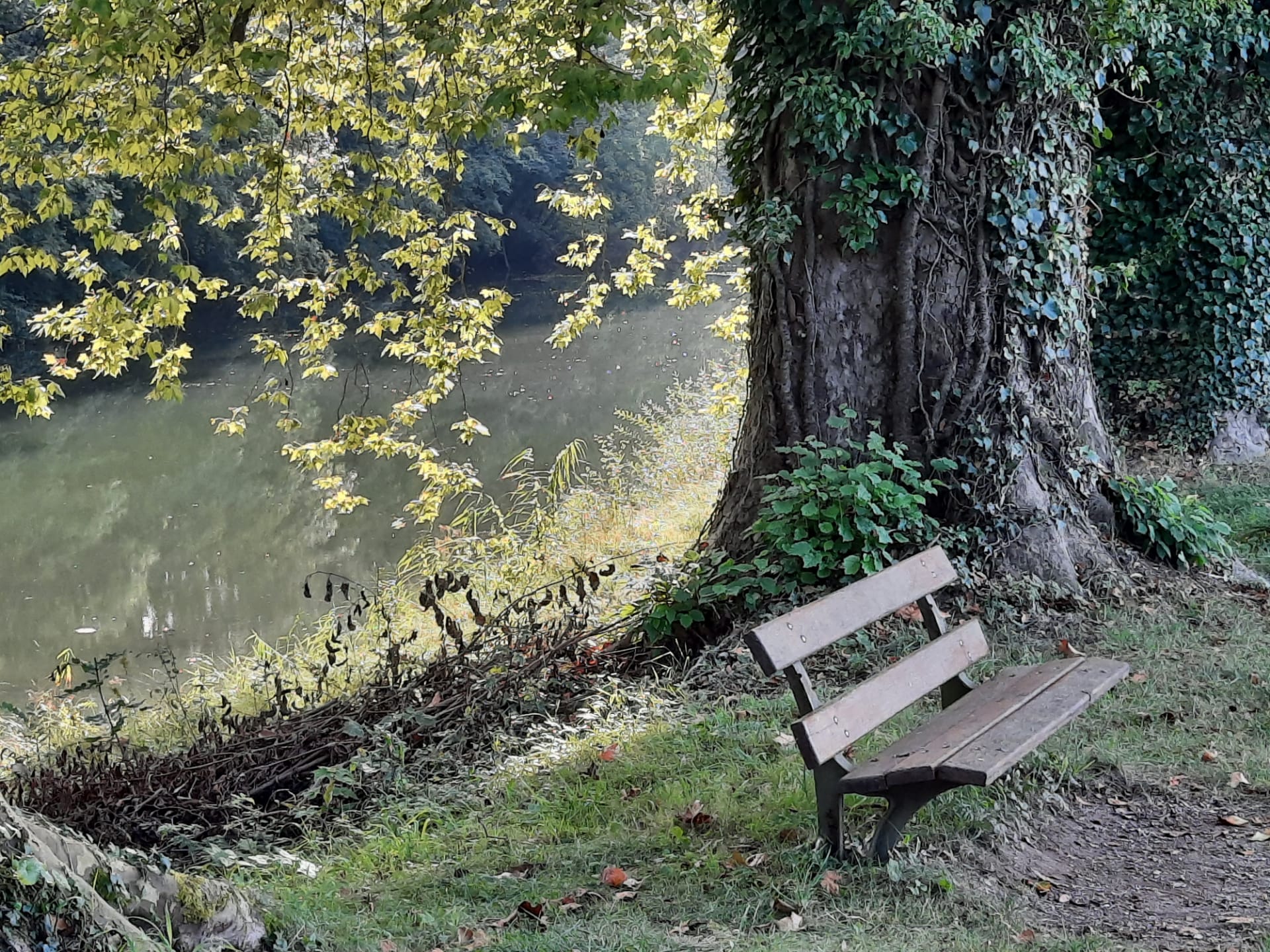 Repos bien mérité, mais rare sur la Voiebleue