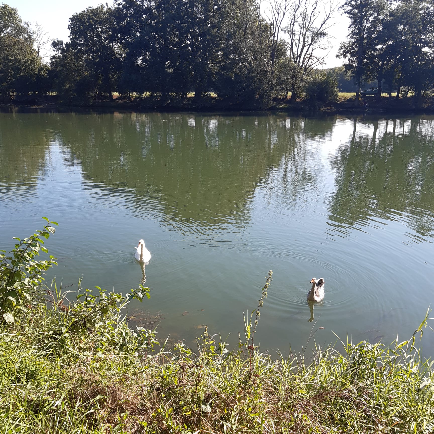 Rencontre avec la faune locale