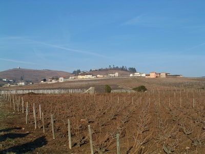 2006-02-a