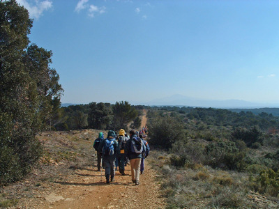 2006-03-b