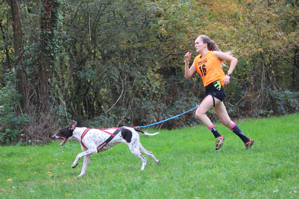 241334486 247680607358228 7797651898081102257 n