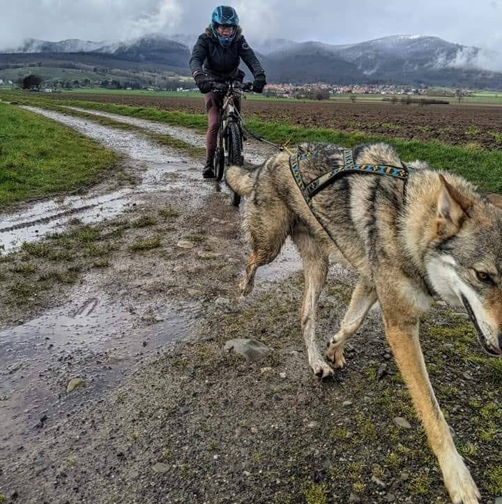 241182823 247680600691562 6427348995514326901 n