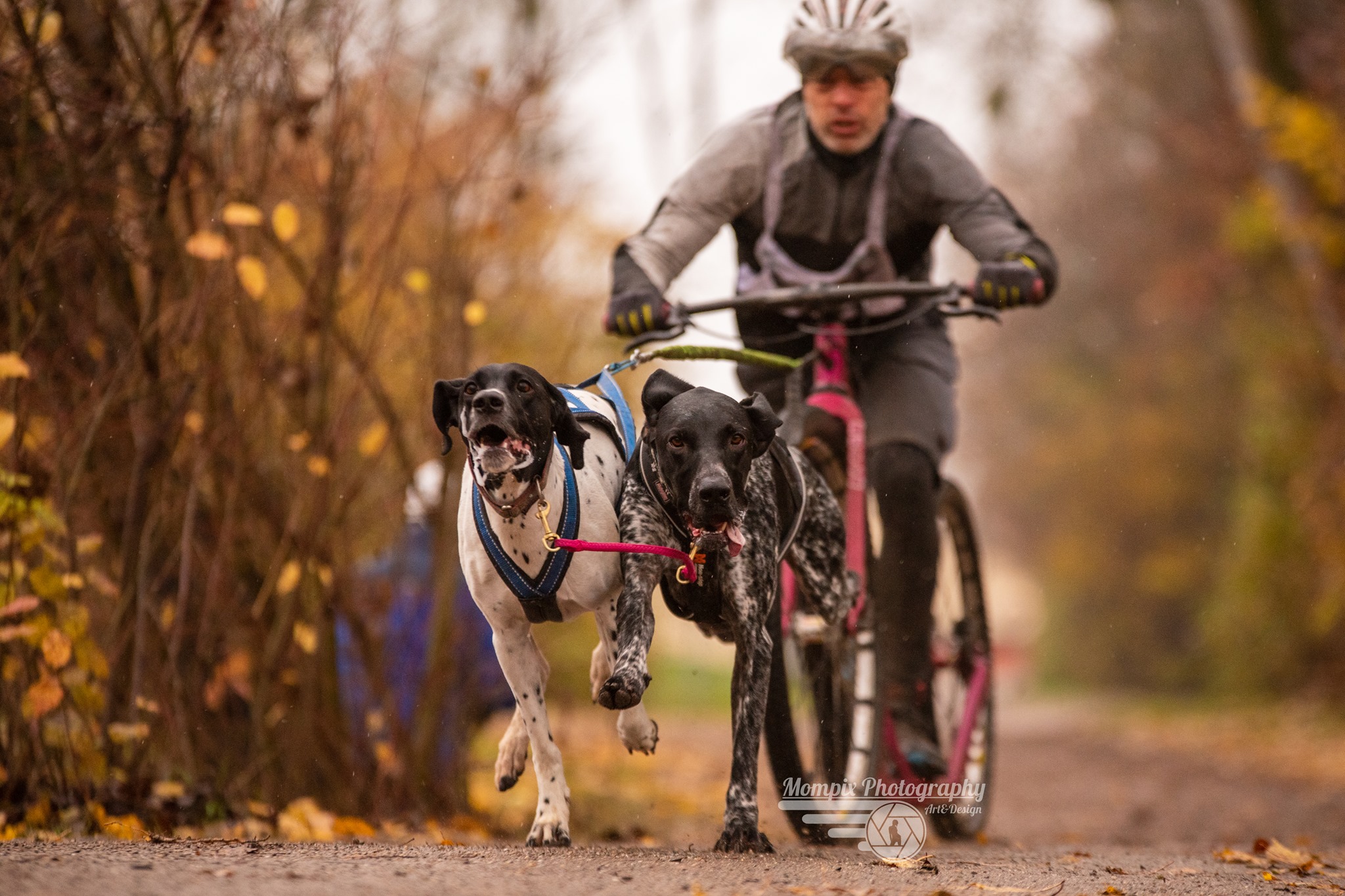 241349437 247680610691561 5531686980610645193 n