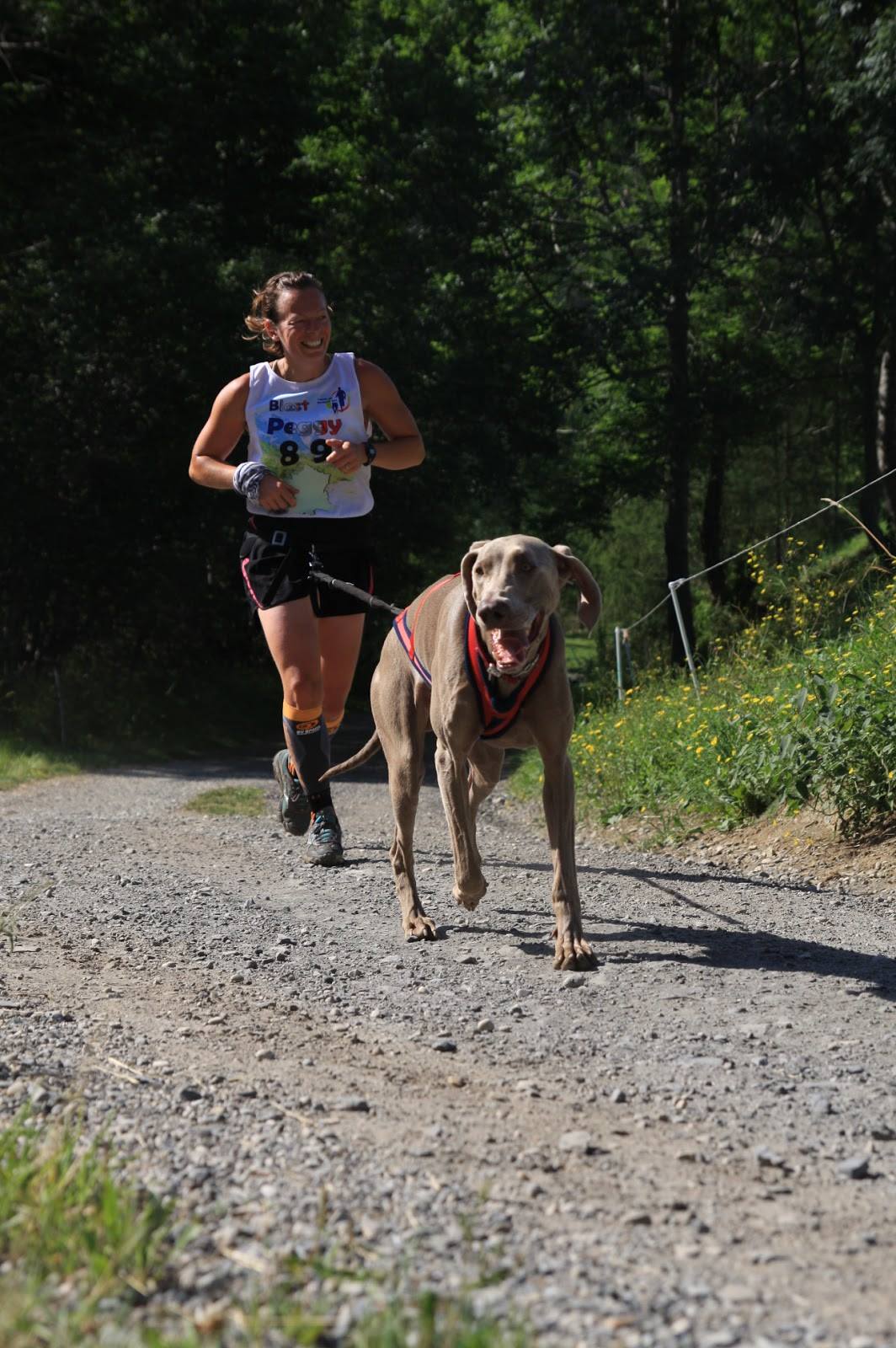 241272510 247680614024894 294517657912114252 n