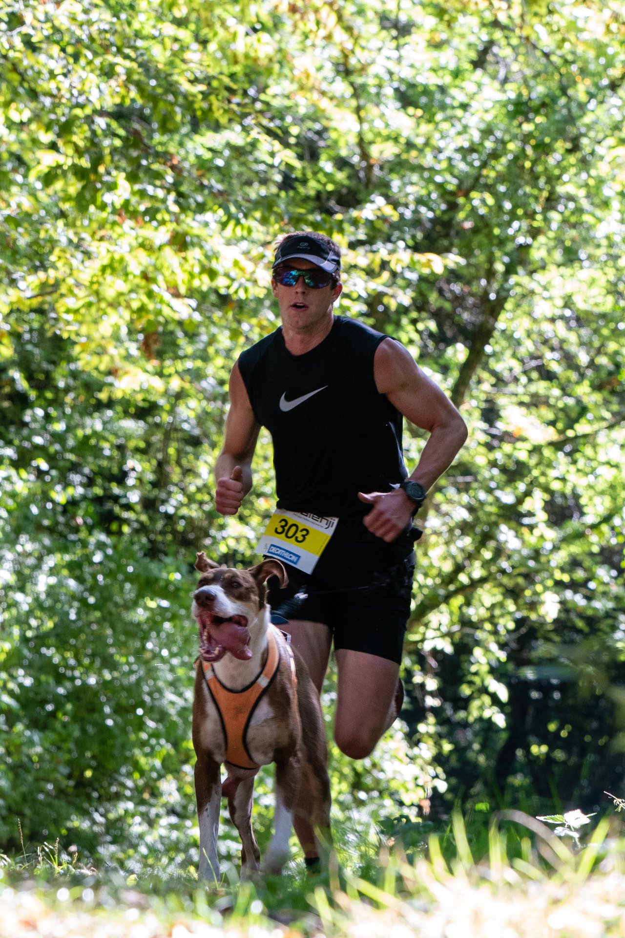 241158737 247680604024895 4223498640453983644 n