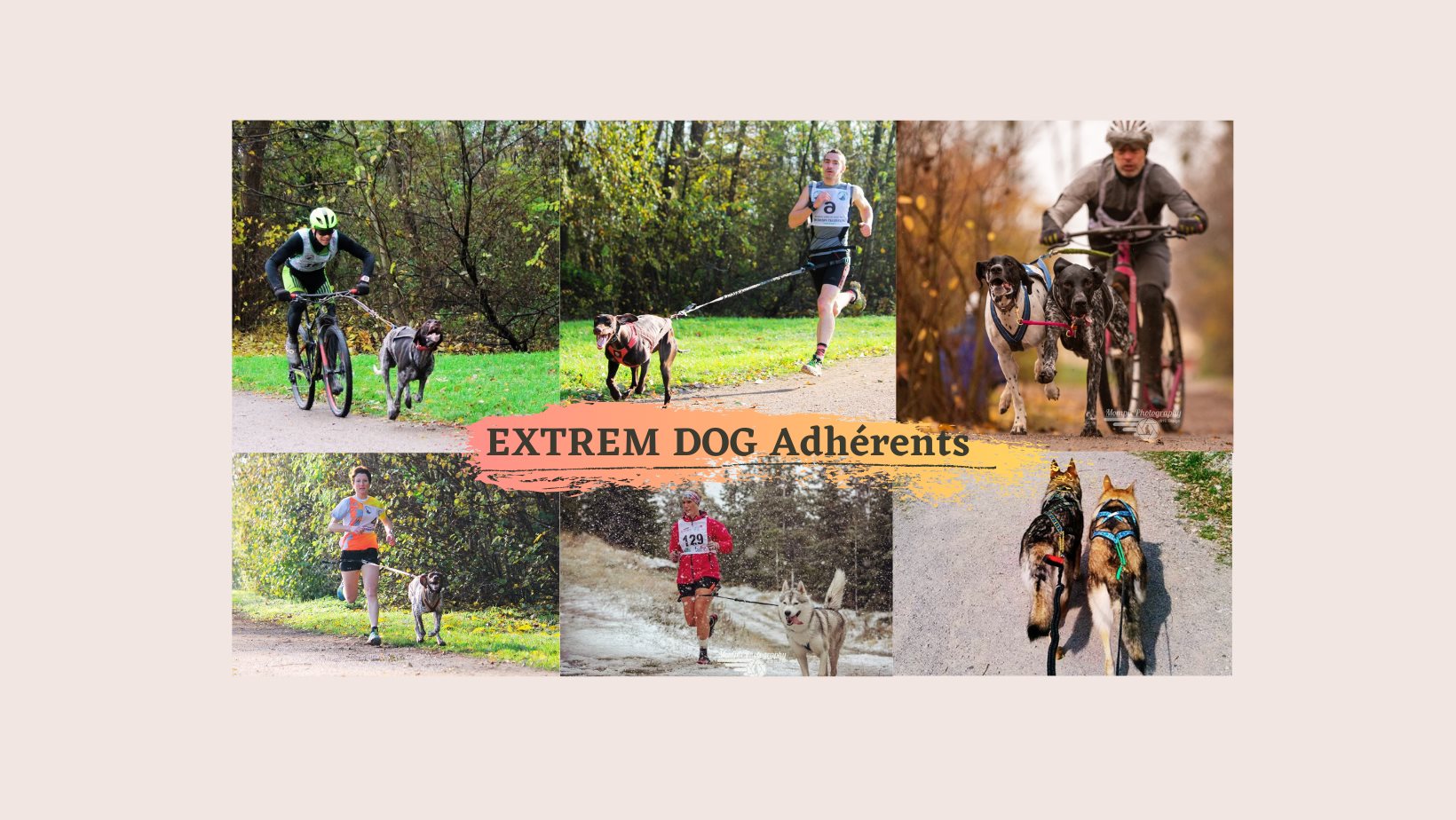 240804500 10216037557770166 3804561929764516840 n