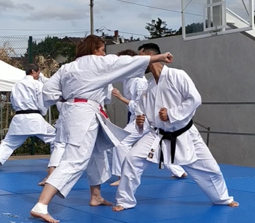 Demo1