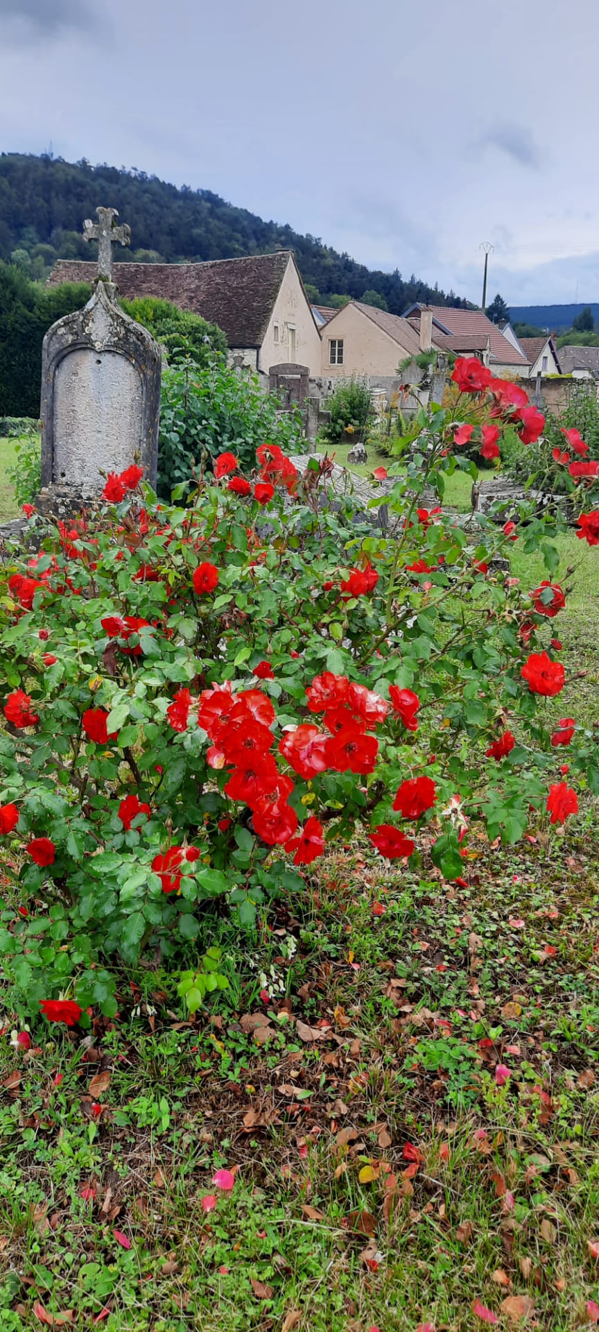 Cimetière de Nuits-Saint-Georges 