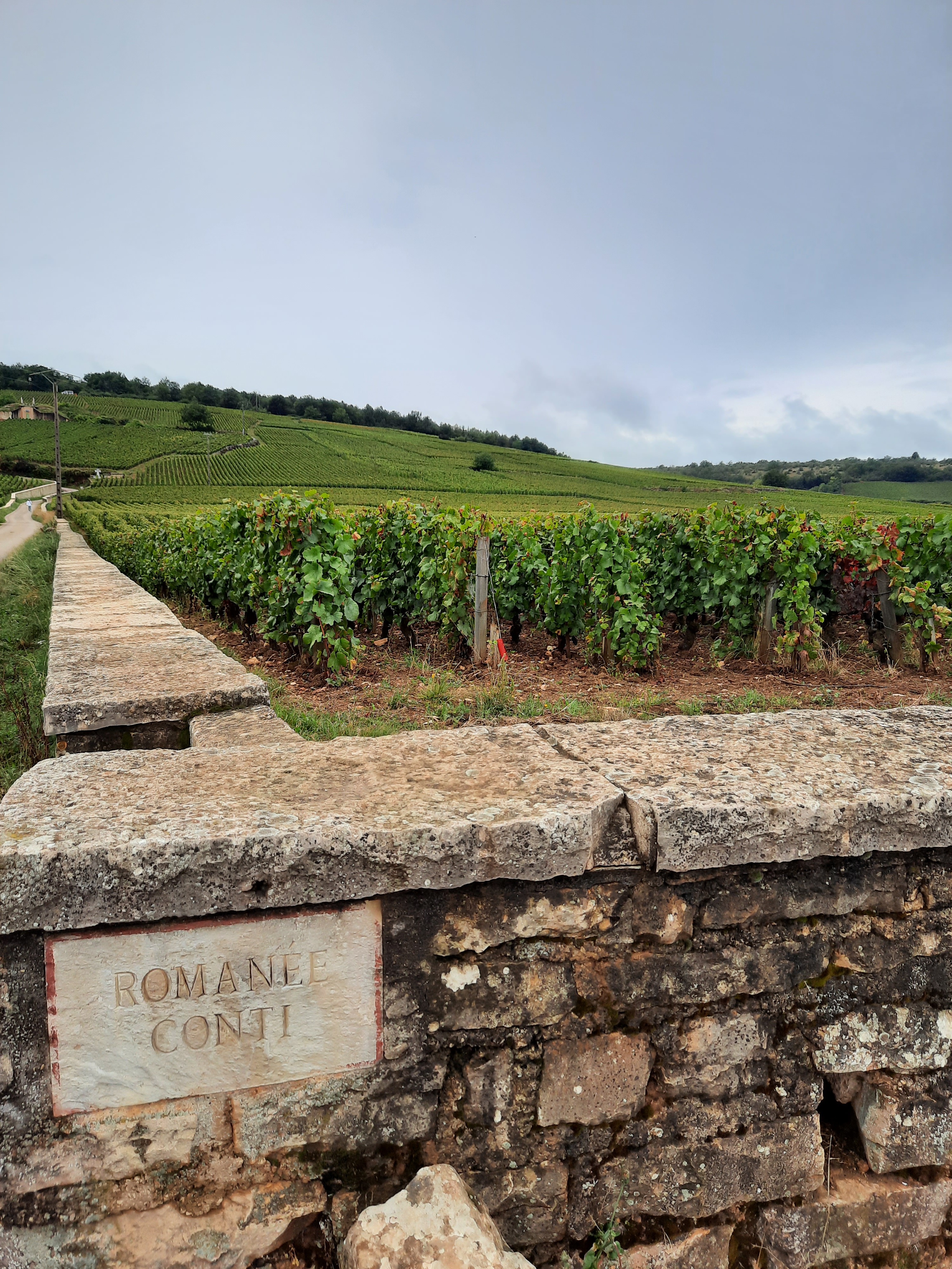 Du vin (en puissance) à 4 500 € la bouteille laissé en libre accès, pas de grillage, rien.