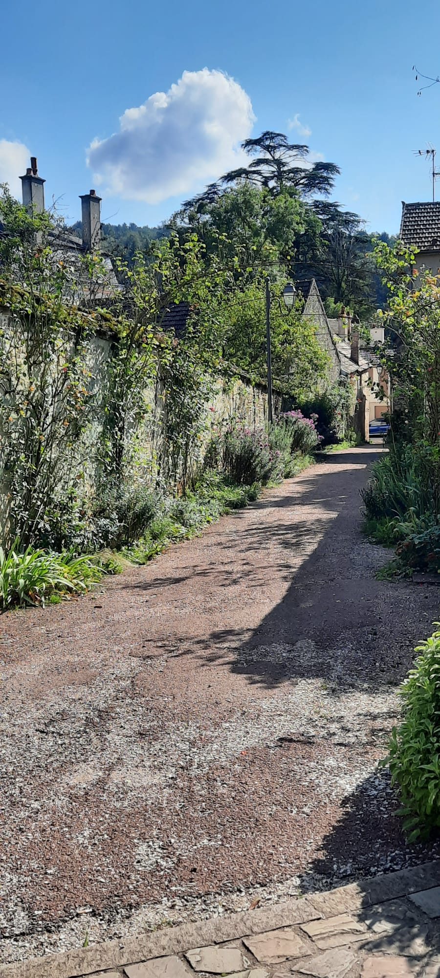 Allée étroite de Savigny