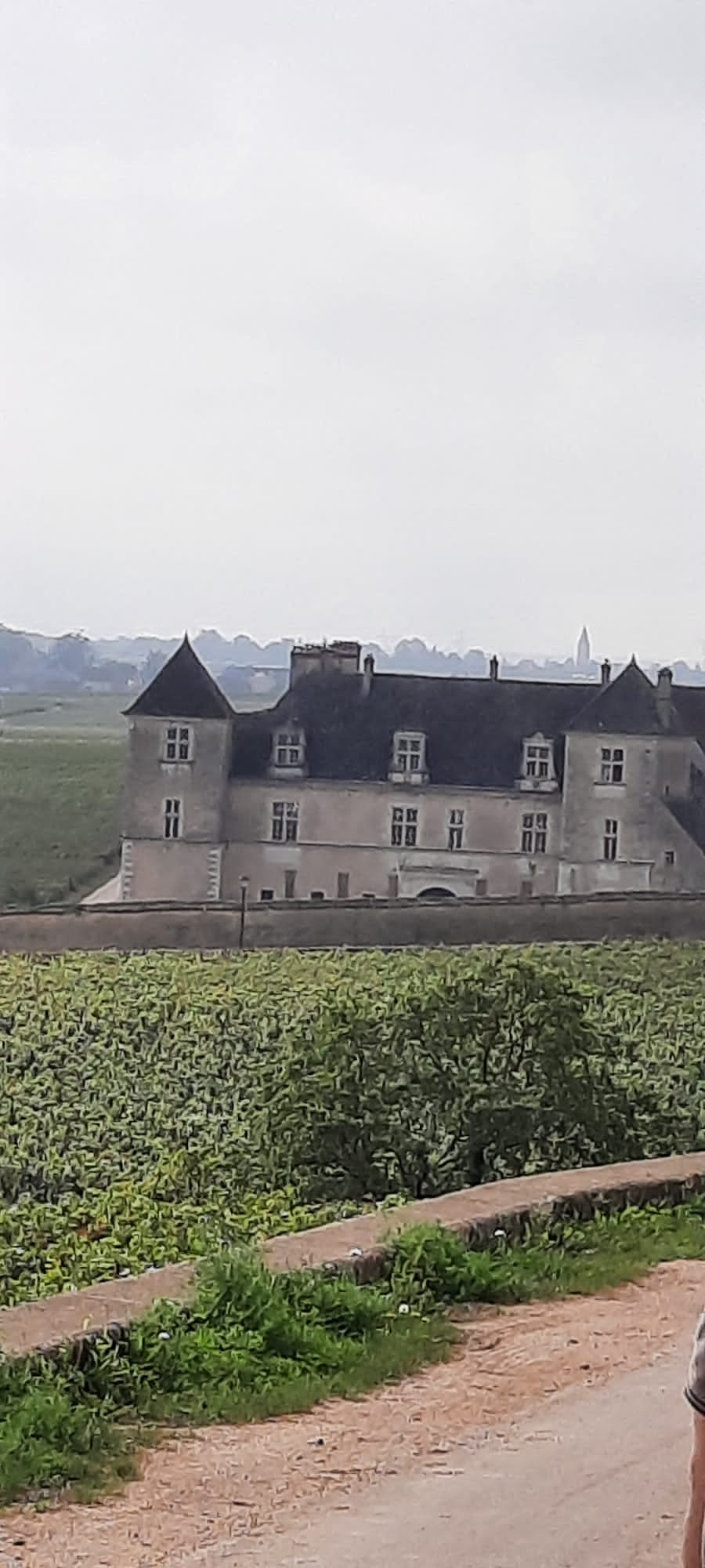 Le château du Clos de Vougeot (et un bout de bras)