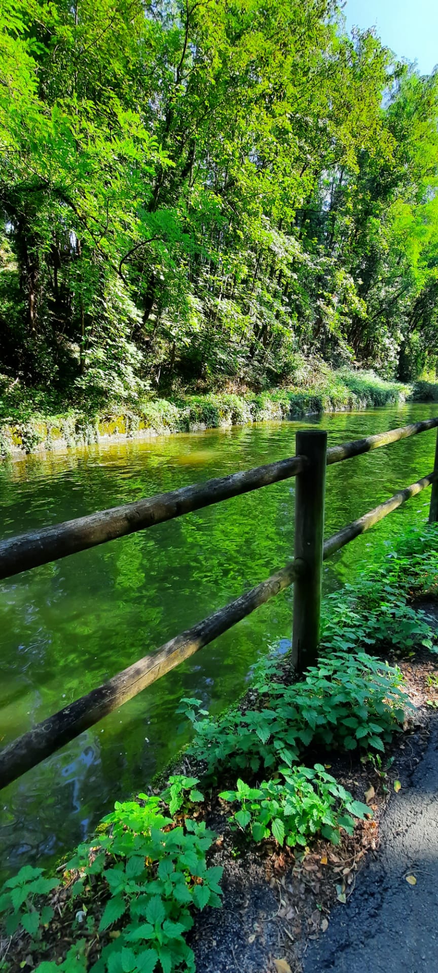 Jeu de couleurs 