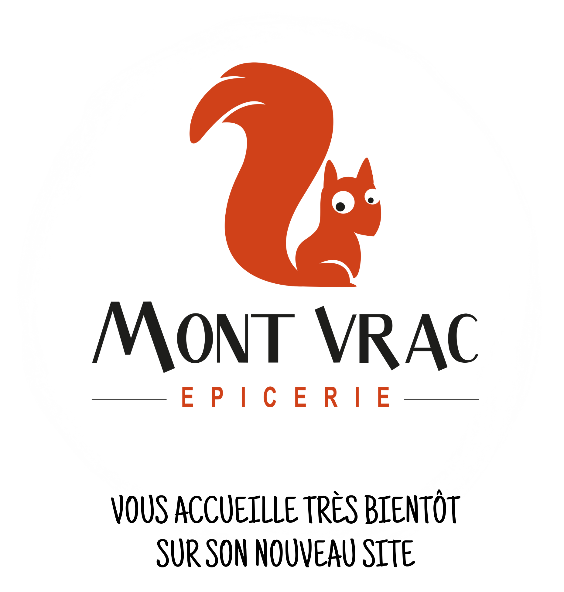 Vous-accueille-tres-bientot-sur-son-nouveau-site