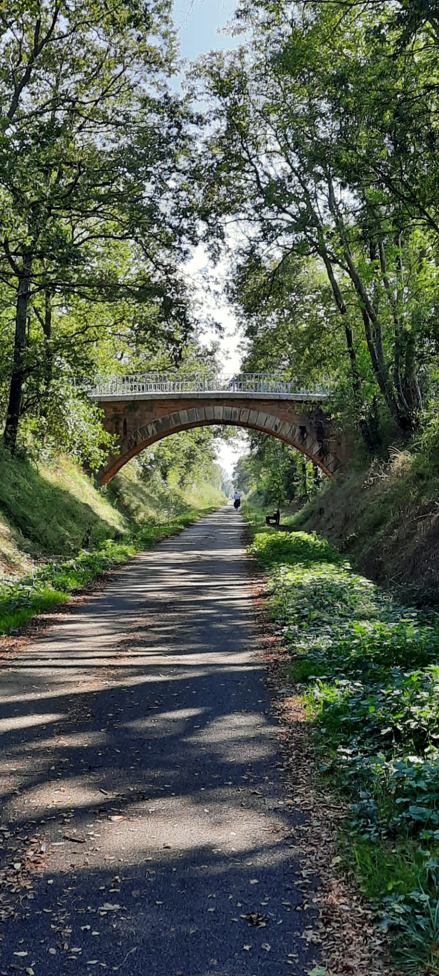 Bien du cycliste est passé sous les ponts...