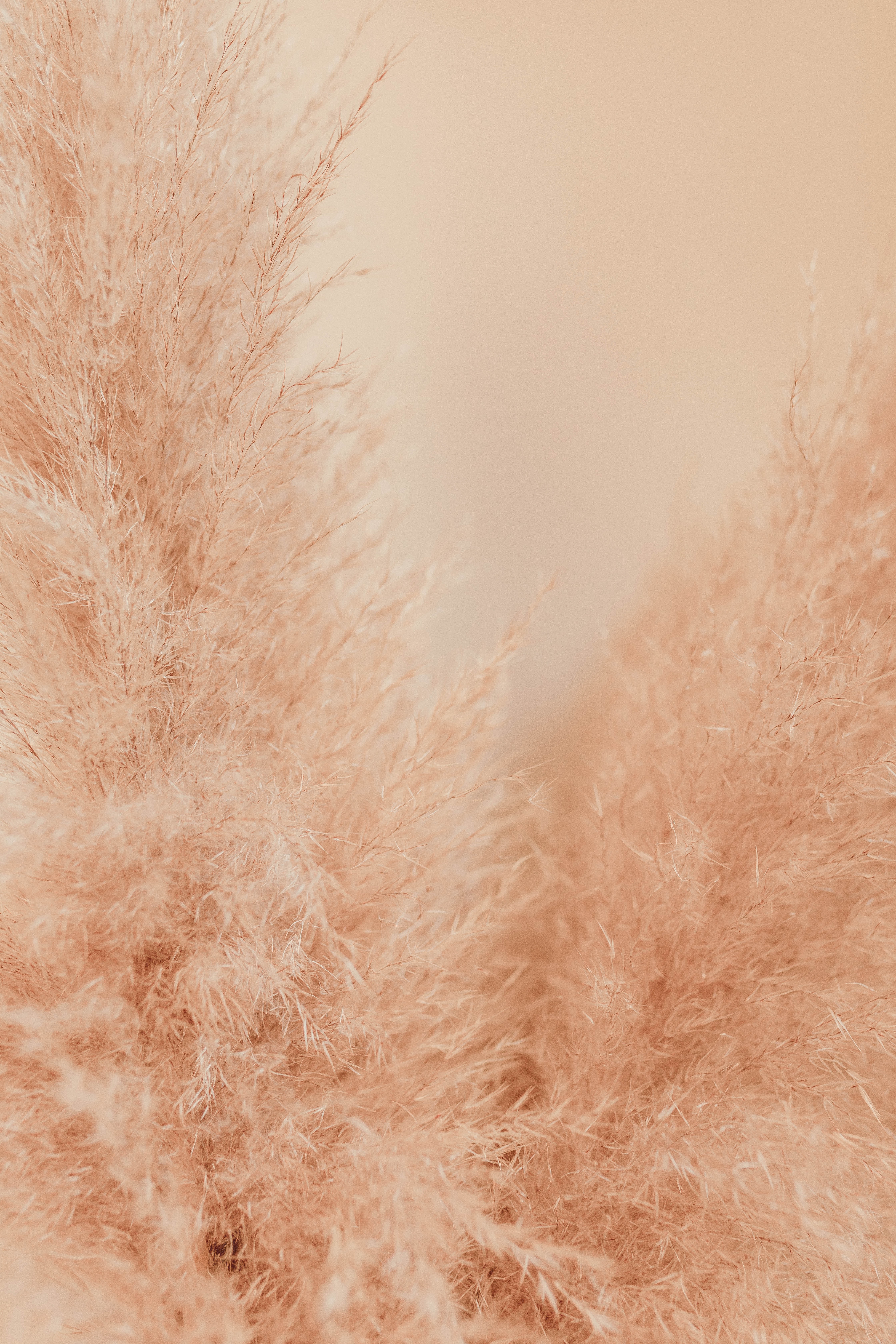 Liana-mikah-RisZkNn4Z5Q-unsplash