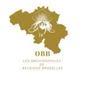 Logo-2-OBB