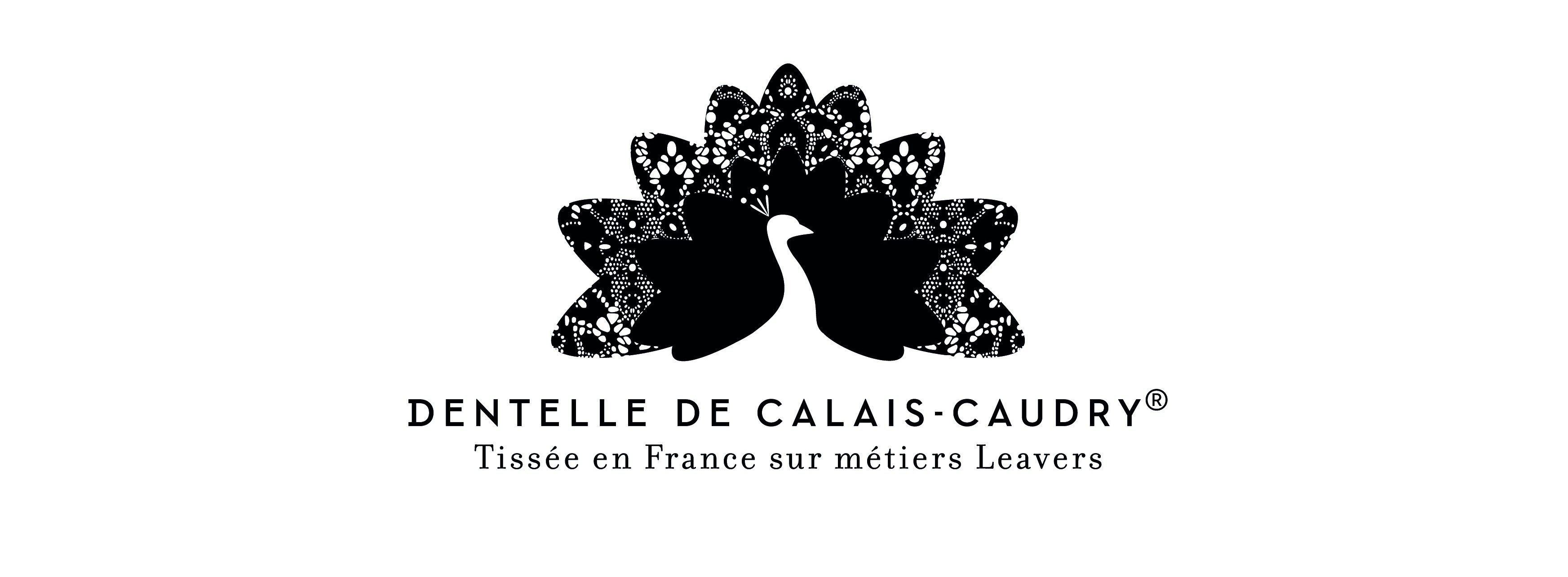 Logo-dentelle-calais-caudry