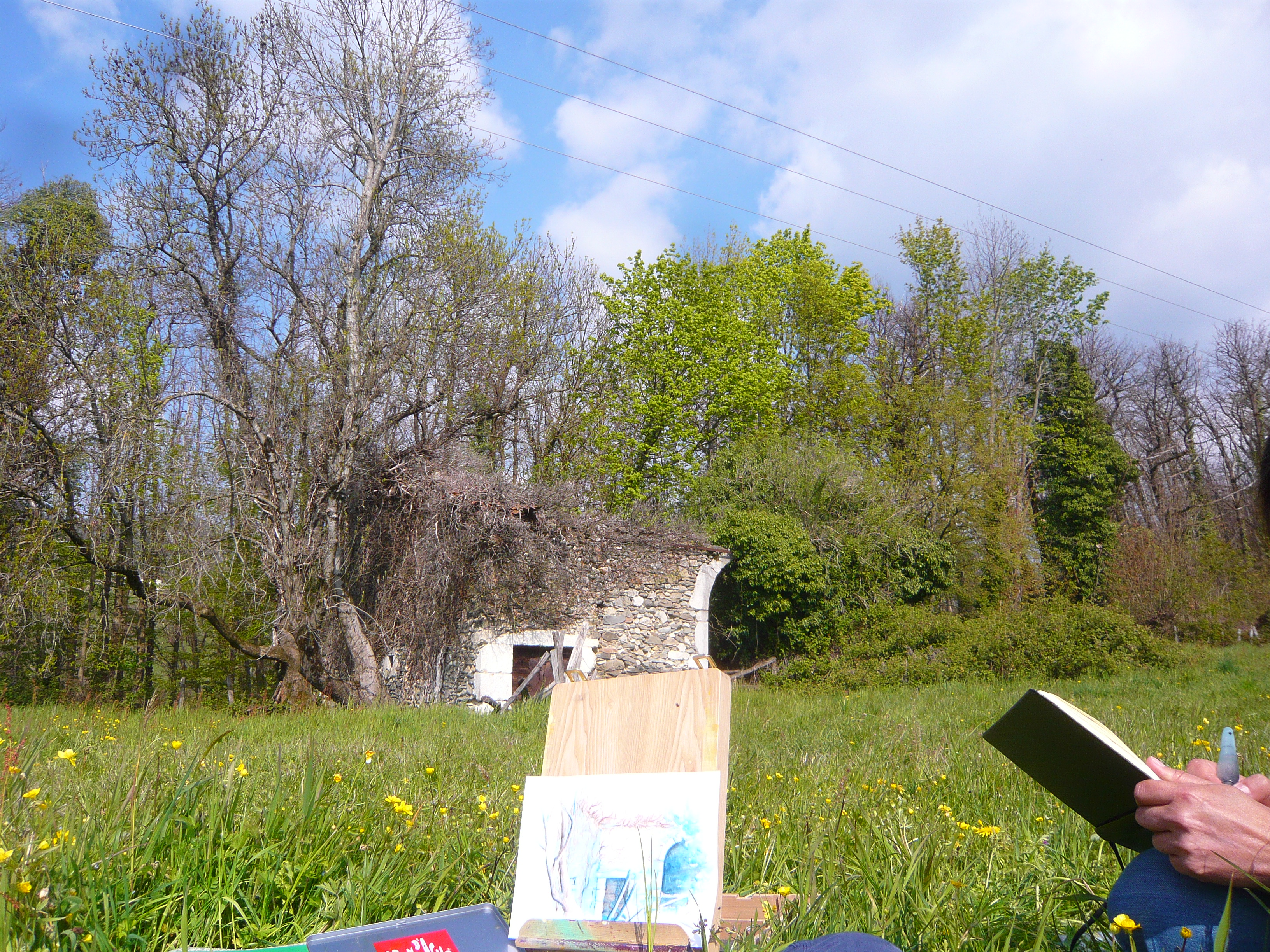 P1200890