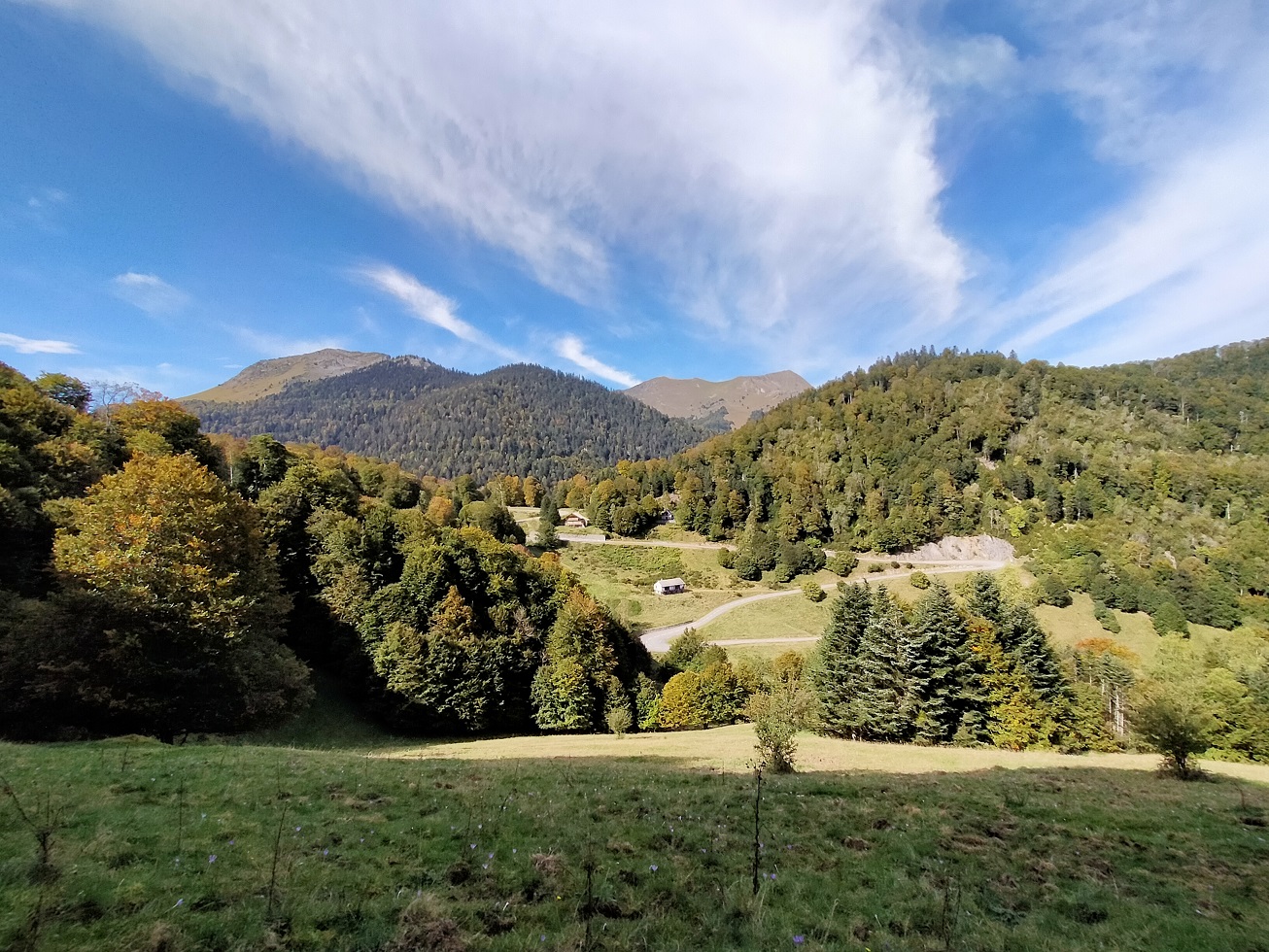 Img20211002144046
