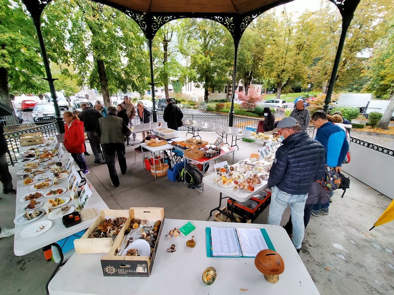 Img20211003100156