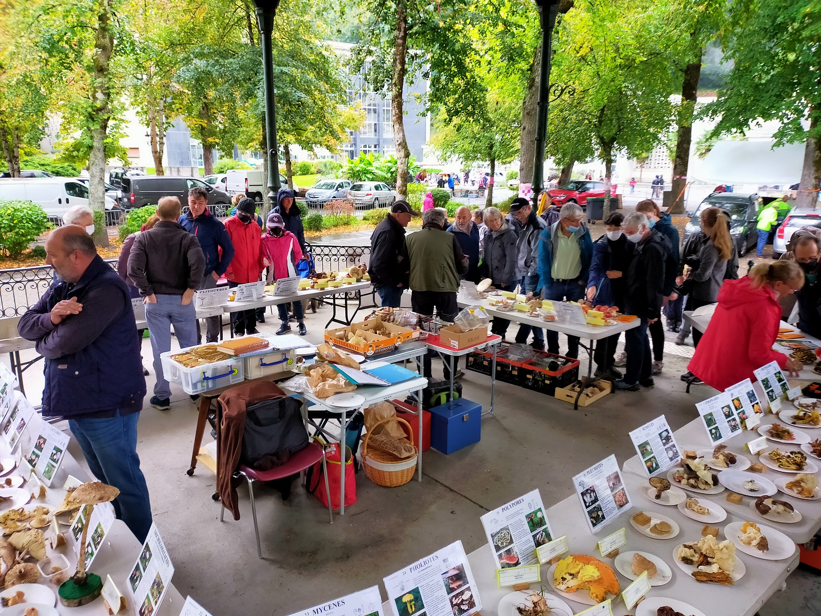 Img20211003105854