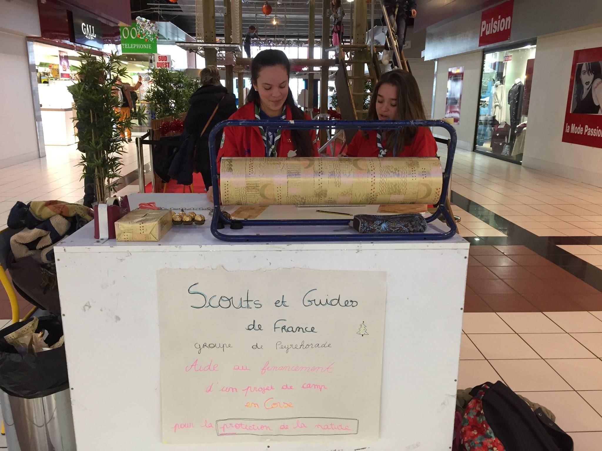 18768347 614755635395077 1311179414977088215 o