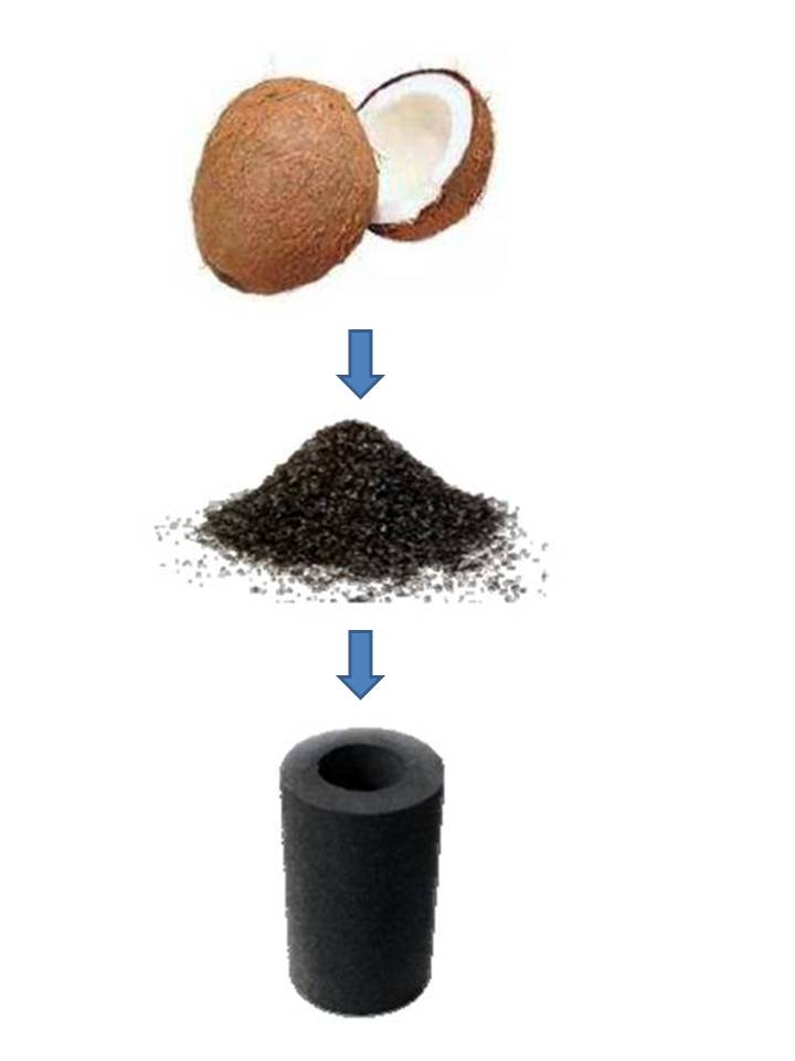 Noix-de-coco-verticale