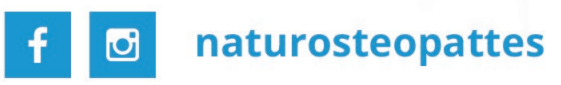 Logo-Insta-Sitew