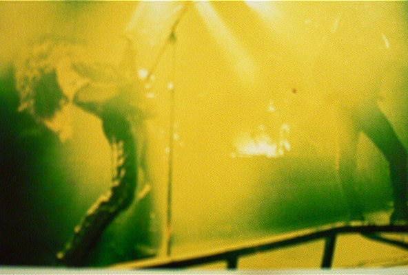 Fotos 26 decembre 015