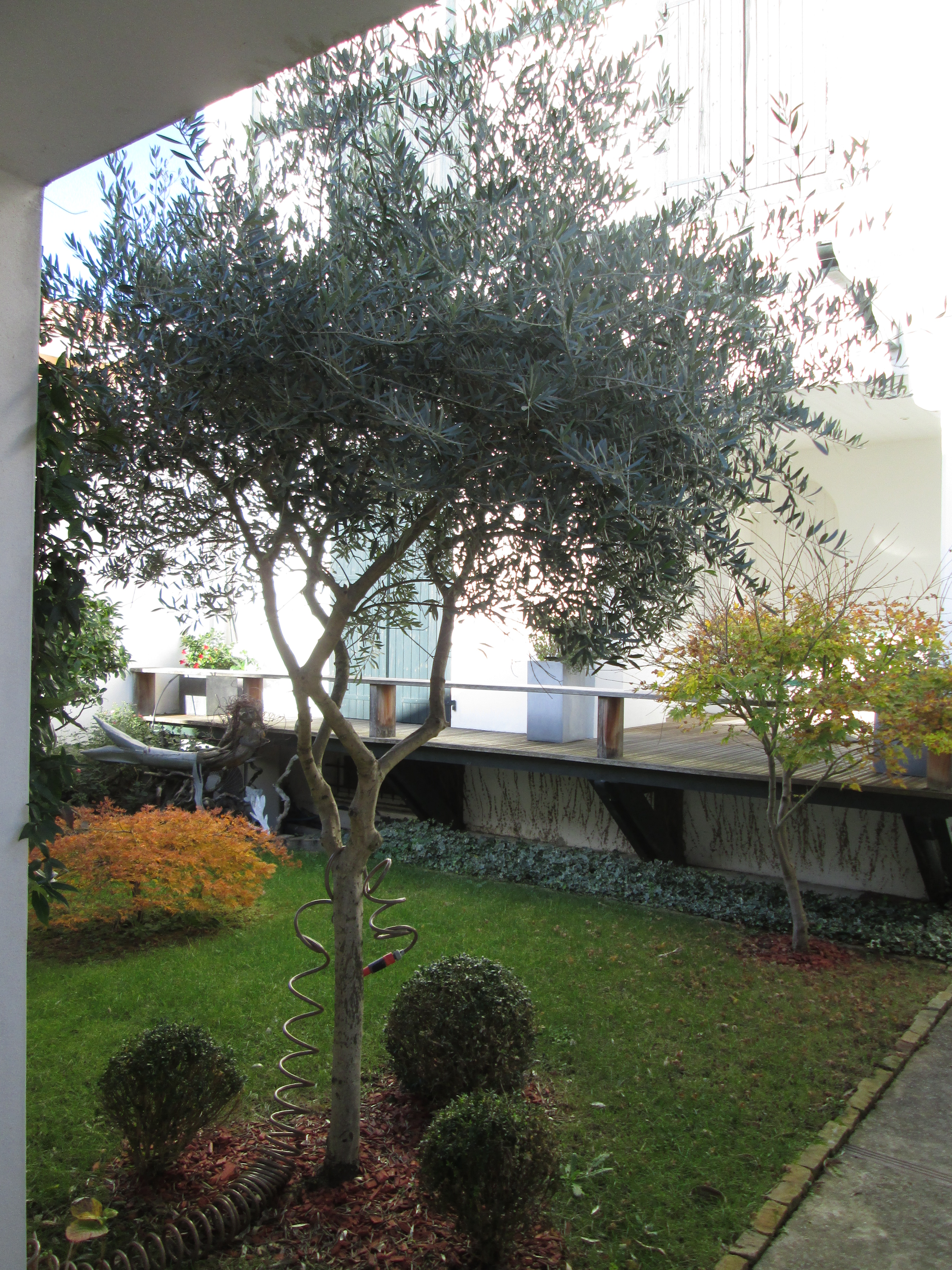 Cv-jardin-2065