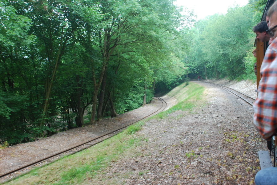 DSC 1695