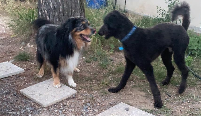 IMG-20211001-WA0005-2-