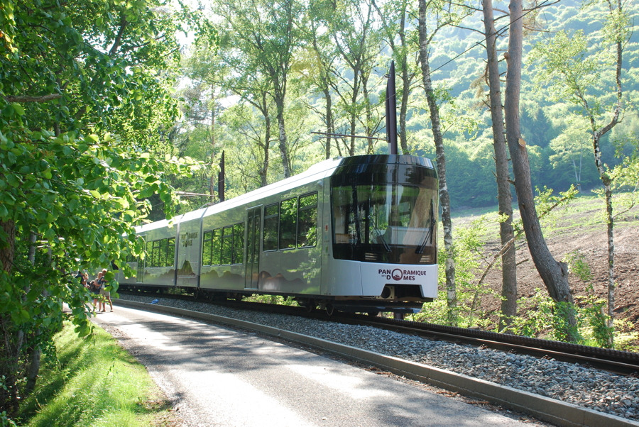 DSC 5706