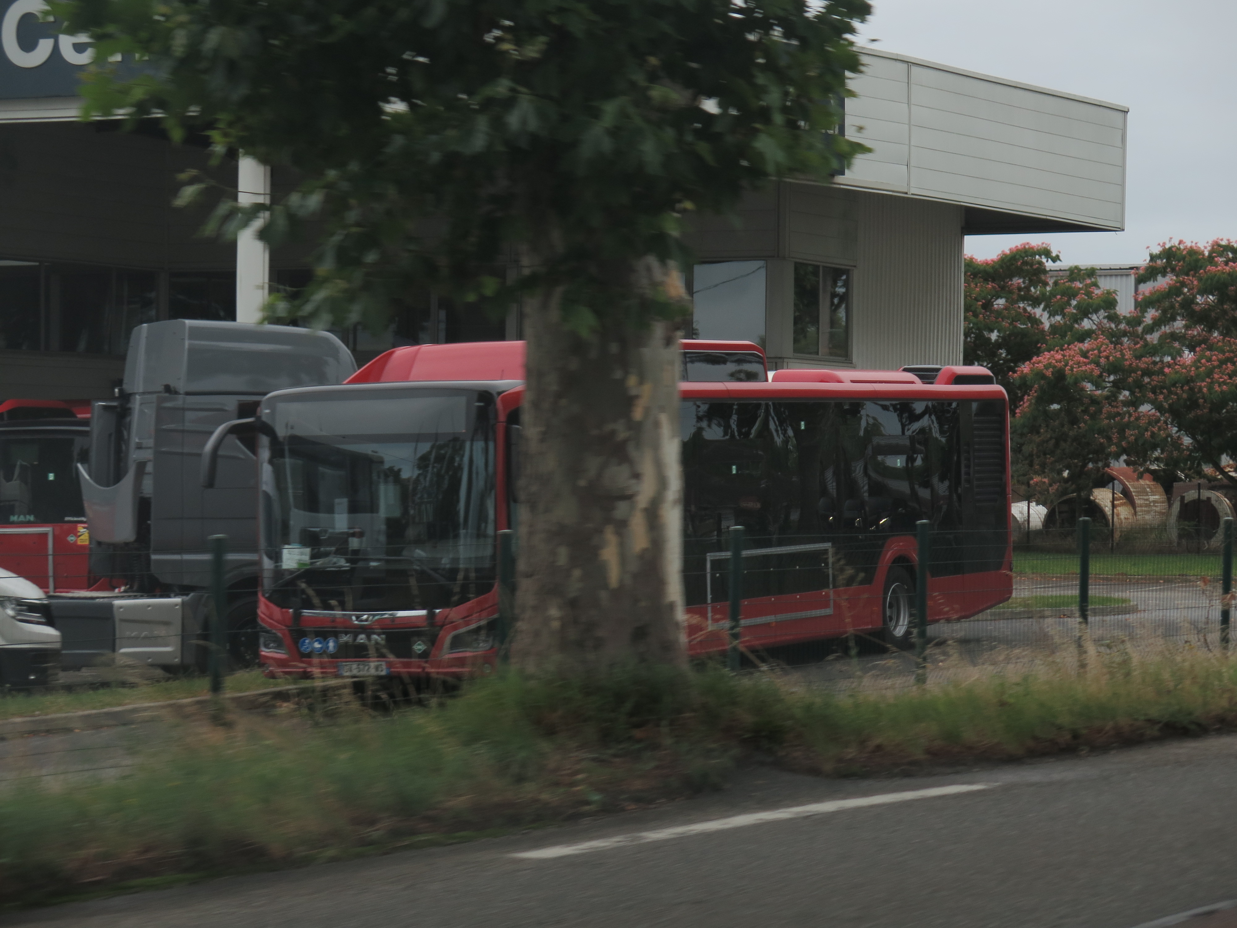 Toulouse-man-lion-s-city-gnv-libea-ou-negoti-img 3348